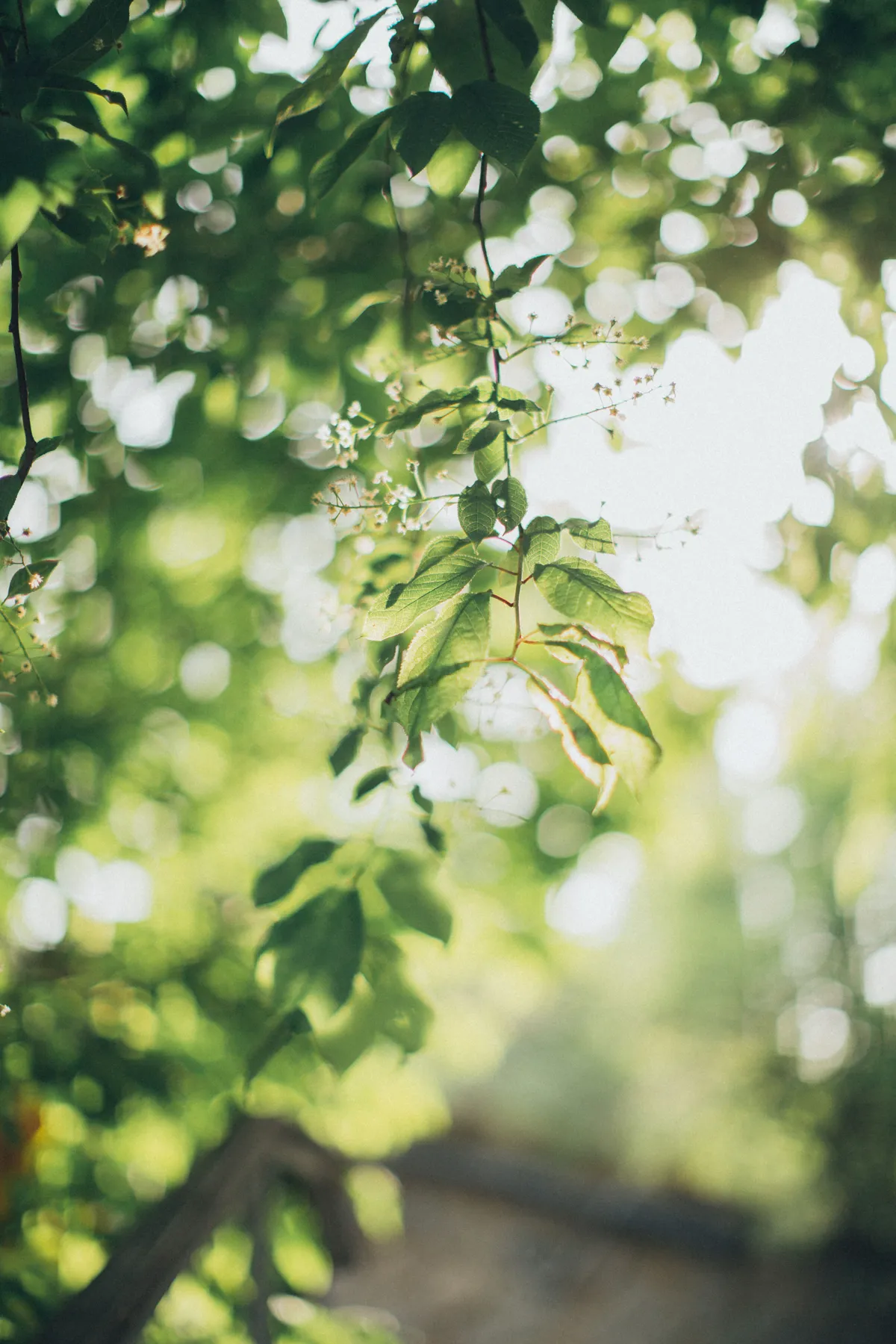 Light and breathing room